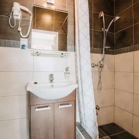 Pensiunea Biz Panzio Oda ve Kahvaltı *